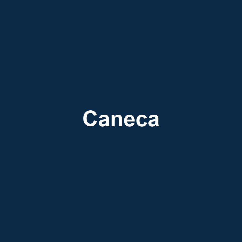 Caneca SynapPress